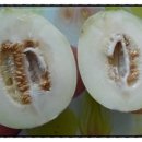 식이네농장 이미지