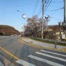 청당산업길 이미지