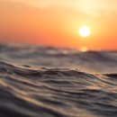 대한렌트카 이미지