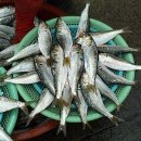 순이랑한잔