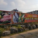 세경할인마트 이미지