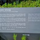 전통정원 상화원(尙和園) 이미지