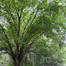 독산공원 이미지