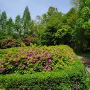 원당근린공원 이미지