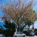 해송회초밥 이미지