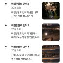 노을이물드는언덕 | [이탈리아] 피렌체 웨딩스냅 개인스냅 촬영 비용 과정 후기