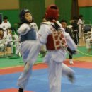 무림태권도장 이미지