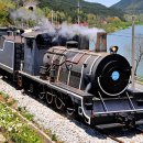 장미공연장 이미지