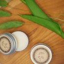 에그하우스 이미지