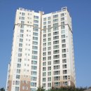 성우오스타 이미지