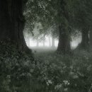 나의 정원 이미지