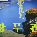 한빛체육관 이미지