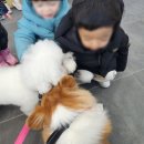 조이랜드어린이집 이미지