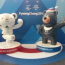 평창행정사사무소 이미지