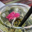 동그라미약국 | 치앙마이 한달살기 6일차 : TIKKY CAFE,싱하랏약국, HOME CAFE(USOOK),NATURE SALON,빠삥빵,그랩푸드...