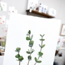 드로잉&수채화(미술) 이미지