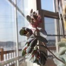 하임농장 이미지