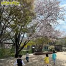 자연유치원 이미지