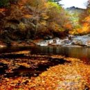 수원역행정사사무소 이미지