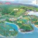 청남오리 이미지