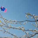 순천향매실영농조합법인 이미지