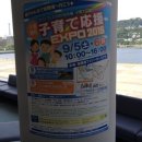 엑스포약국 이미지