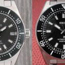 파인(143) 이미지