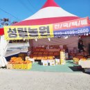 성림농원 | 김해 진영 단감맛집 대봉맛집 진영 단감직판장 성림농원 내돈내산 (전국택배가능)