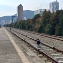 송정역 화장실 이미지