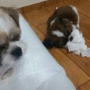 부평온누리약국 이미지