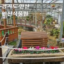 일동굴다리앞(17202) | 안산식물원 경기도 실내 갈만한곳