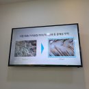 웰킨두피탈모센터 송파문정점 올케어 프로그램으로 각질제거 후기