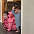 사라보카 | [환갑 제주 여행 숙소 후기] 사라보카 46,48