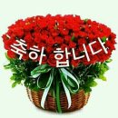 연신네