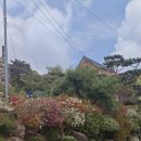 강화도늘푸른펜션 네이버블로그