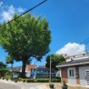 씨유 보성웅치점 이미지