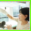 신중남로 | 구미강아지분양 신중함이 만든 특별한 인연