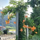 돌산중학교 이미지