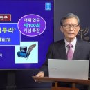 [성경의 어휘 연구] 100. '솔라 스크립투라 이미지