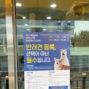 야옹아 멍멍해봐(에코시티점) 이미지