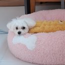 갤러리안경명지점 | New Year Same Me @01