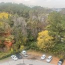 경희수한방병원 이미지