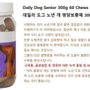 데일리도그(DAILY DOG) 이미지