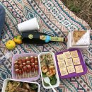 파니피카 이미지