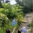 참자연 어린이집 이미지