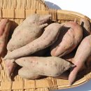 선우농장 이미지