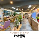 카페글먹