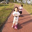 사초 해변공원 이미지