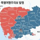 박씨청과