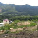 숲속 게르 하우스 이미지